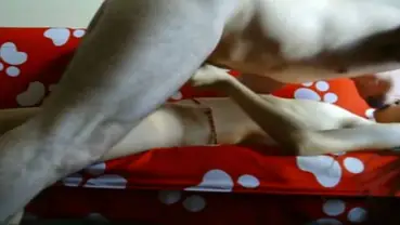 Tarif Mahal! ABG Bispak Hotel Bintang Lima Hot